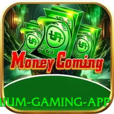 456bra Premium Gaming App - pk