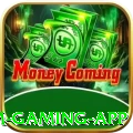 456bra Premium Gaming App